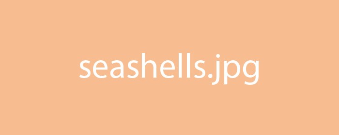 Seashells